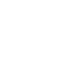 ce logo Boston