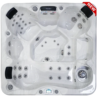 Avalon-X EC-849LX hot tubs for sale in Boston